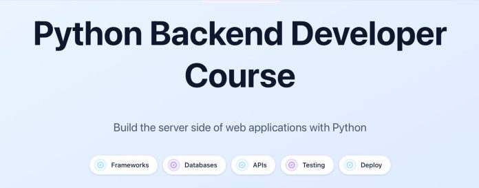 Python backend developer
